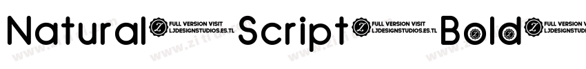 Natural Script Bold字体转换
